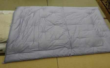 エジプト綿入り肌掛ふとん　（ブルー）【CW75W】