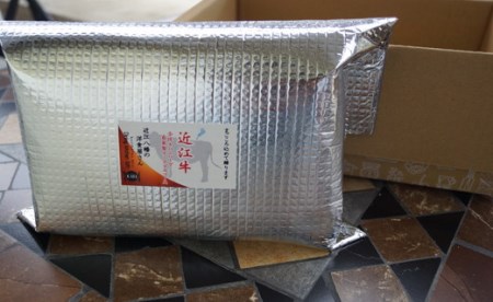 近江牛煮込みハンバーグ　自家製デミグラスソース　【1200g（200ｇ×6個）】【DI01SM1】