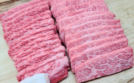 【総本家　肉のあさの】５等級近江牛焼肉用（肩ロース・バラ）【500ｇ】【AE12SM】
