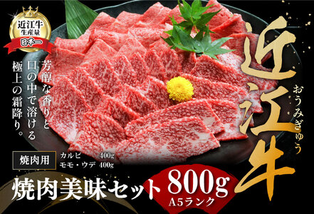 【2月末までに発送】 近江牛 A5 ランク 焼肉 美味 セット 800g 【DG10W-2m】【 近江牛 】 牛肉