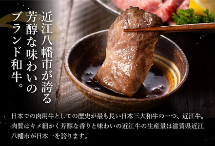 【2月末までに発送】 近江牛 A5 ランク 焼肉 美味 セット 800g 【DG10W-2m】【 近江牛 】 牛肉