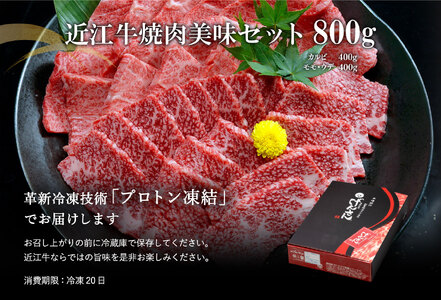 【2月末までに発送】 近江牛 A5 ランク 焼肉 美味 セット 800g 【DG10W-2m】【 近江牛 】 牛肉