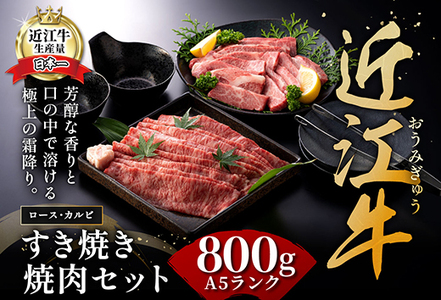 近江牛A5ランク焼肉・すき焼セット【800g】【DG11U】