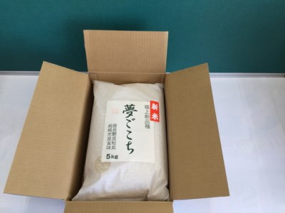 【PRキャンペーン対象】 新米 令和7年産 夢ごこち 10kg 白米 【T035W2】 近江米 ご飯 精米 5kg 2袋 新米