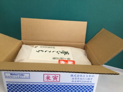【PRキャンペーン対象】 新米 令和7年産 夢ごこち 10kg 白米 【T035W2】 近江米 ご飯 精米 5kg 2袋 新米