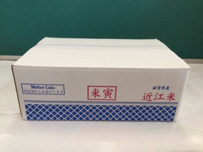 【PRキャンペーン対象】 新米 令和7年産 夢ごこち 10kg 白米 【T035W2】 近江米 ご飯 精米 5kg 2袋 新米