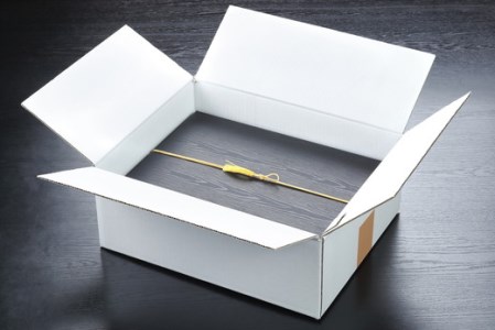 生産牧場指定 料亭こだわりの近江牛A4等級以上 焼肉用 【600g】【DM04W】