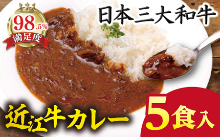 近江牛 カレー 200g×5パック 【AB77W】 ビーフ カレー 近江牛 牛肉