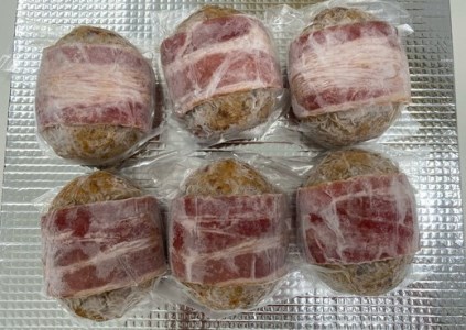 近江牛 カレー 200g×5パック ＆ 近江牛 ハンバーグ 150g×6個 【AB78W】 牛肉