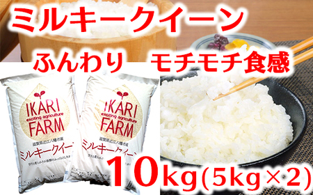 【6年産】ふっくら＆もっちり！「ミルキークイーン」白米10kg（5kg×2）【C043U】（米 コメ こめ 新米 6年産 白米 はくまい ごはん ご飯 精米 みるきーくいーん ミルキークイーン 先行 予約 近江米 10キロ 10kg 5キロ 5kg）