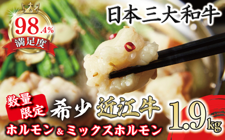 数量限定 希少 近江牛 ホルモン ＆ ミックスホルモン 合計 1.9kg 【FO05W】 近江牛 ホルモン 牛肉