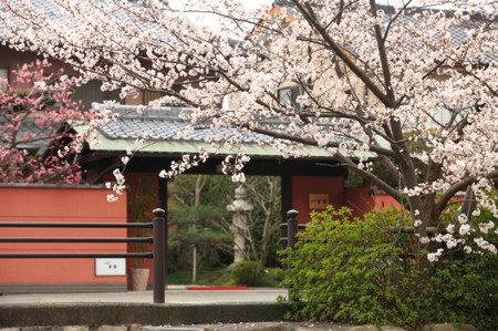 生産牧場指定 近江牛 味噌漬け（希少大豆使用の減塩味噌）100g×6枚【DM09W】 近江牛 牛肉 味噌