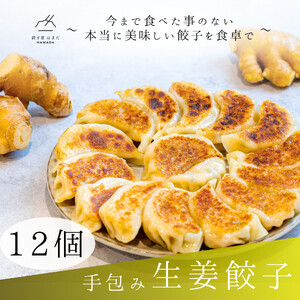 餃子 手包み生姜餃子 Sパック 12個入り 餃子屋はまだ
