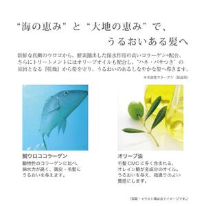 【美容室専売品】アモロス アミノコラーゲン シャンプー&ヘアトリートメント 1000ml×各1本