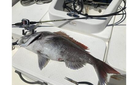 Wakasa Monster WM-TR B72MH-SOLID / 2PS OFFSHORE MODEL（ワカサモンスター）