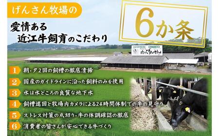 近江牛 A5ランク 切落し 700g