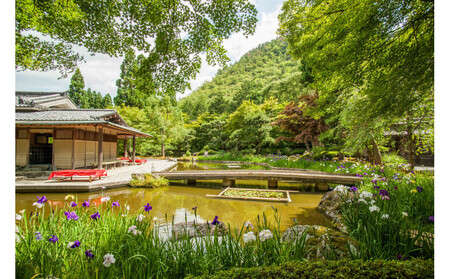 京都しょうざん カップインオードブル（滋賀県草津市で製造）｜洋風 おせち 1段 2人前 3人前 正月 新春 2026年 令和8年 お祝い おせち料理 お取り寄せ
