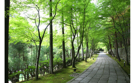 京都しょうざん おせち料理「春華」一段（滋賀県草津市で製造）