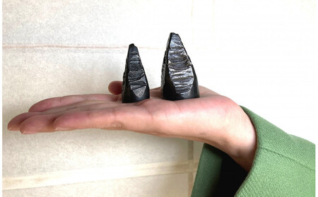 刀鍛冶謹製 たけのこ鋼文鎮