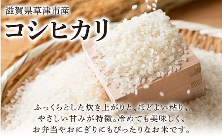 令和7年産　近江米コシヒカリ（玄米）5kg×4　計20kg