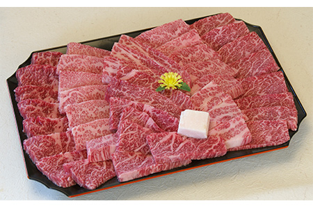 【6ヶ月定期便】近江牛カルビ・もも焼き肉 1.0kg[0190] | 近江牛 カルビ もも 焼肉  やきにく