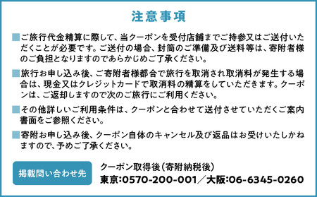 滋賀県守山市　日本旅行　地域限定旅行クーポン15,000円分