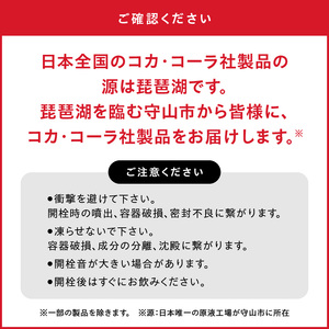 【定期便】ミニッツメイドQooみかん 425mlPET（24本入）×3カ月　合成着色料不使用 水分補給 果実飲料 オレンジ味 ミカンジュース オレンジジュース コカ・コーラ ドリンク 飲料 ジュース ペットボトル 人気 果汁 飲み物 すっきりとした味わい