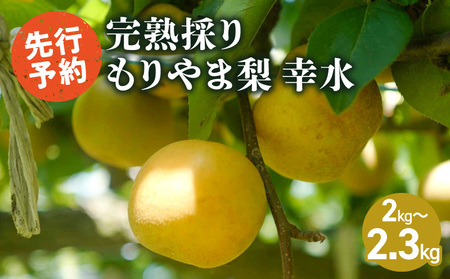 完熟採り もりやま梨(幸水)2キロ~2.3キロ【先行予約】