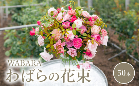 わばらの花束50本　 WABARA Rose Farm KEIJI  國枝啓司 