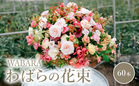 わばらの花束60本　  WABARA Rose Farm KEIJI 國枝啓司