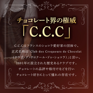 【ドゥブルベ・ボレロ】シェフの選んだボンボンショコラ 10個入り