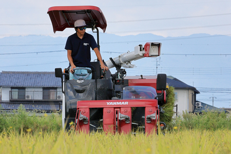 【令和8年】 先行予約近江米『コシヒカリ』 特別栽培米 10キロ(鮮度保持袋)