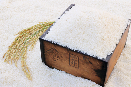 【令和8年】先行予約  近江米『コシヒカリ』　特別栽培米　10キロ（5キロ×2袋　真空梱包） DT-0004