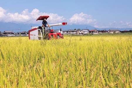 【令和8年】先行予約 近江米『きらみずき』 化学肥料不使用米 10キロ(5キロ×2袋 真空梱包)