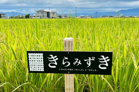 【令和8年】先行予約 近江米『きらみずき』 化学肥料不使用米 10キロ(5キロ×2袋 真空梱包)