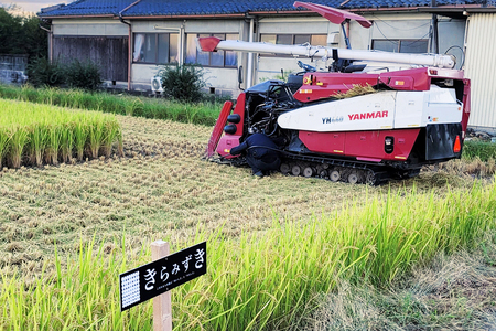 【令和8年】先行予約　近江米『きらみずき』　化学肥料不使用米　20キロ（鮮度保持袋）