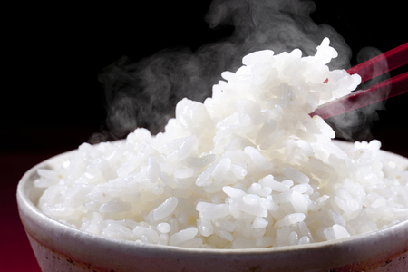 【令和8年】先行予約 近江米『きらみずき』化学肥料不使用米　20キロ（5キロ×4袋　真空梱包）