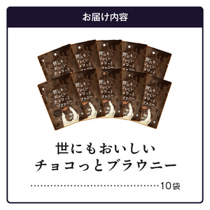 世にもおいしいチョコっとブラウニー　チョコ ブラウニー 濃厚 本格的 オリジナルチョコ チョコチップ サンド チョコレート デザート