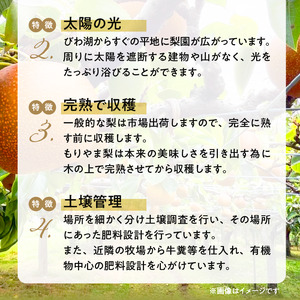 びわこもりやまフルーツランド　もりやま梨　筑水ご自宅用