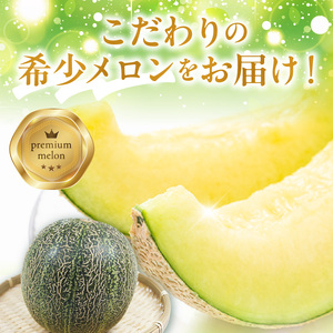 プレミアムメロン 【6月お届け】