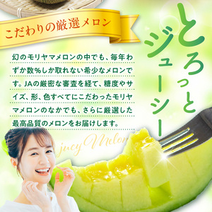 プレミアムメロン 【6月お届け】