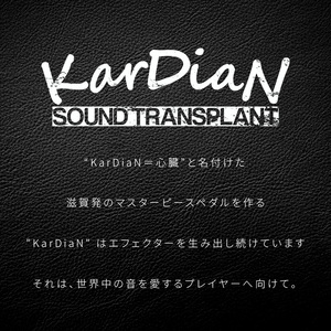 Character Module Box   サウンド キャラクターモジュール ペダル使用 エフェクター エレキ ギター ベース 楽器 サウンド アクセサリ 音響機材 滋賀県 守山市