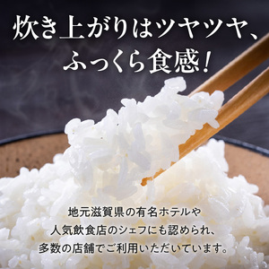 【令和8年度産】 先行予約 近江米『コシヒカリ』 特別栽培米 5キロ×6回定期便(鮮度保持袋)