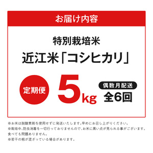 【令和8年度産】 先行予約 近江米『コシヒカリ』特別栽培米　5キロ×6回　偶数月お届け定期便（鮮度保持袋）