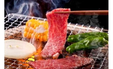 【冷蔵でお届け可】近江牛鉄板・焼肉用ロース肉　500g 　日本三大和牛 近江牛 ロース 肉 お肉 牛肉 グルメ ブランド牛 鉄板焼 焼肉