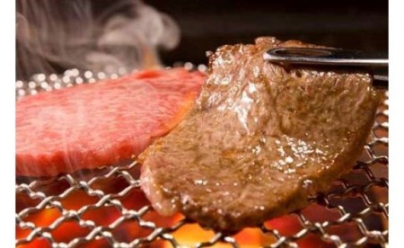 【冷蔵でお届け可】近江牛鉄板・焼肉用ロース肉　500g 　日本三大和牛 近江牛 ロース 肉 お肉 牛肉 グルメ ブランド牛 鉄板焼 焼肉