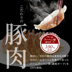 堀久餃子本舗冷凍生餃子5箱パック 幻の餃子 生餃子  バームクーヘン豚 藏尾ポーク