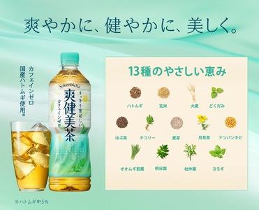 爽健美茶 PET 600ml（24本入） ノンカフェイン  ブレンド茶 植物の恵み 水分補給 人気 コカ・コーラ