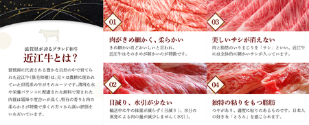 【冷蔵でお届け可】近江牛すき焼き用霜降りロース・モモ肉スライスセット　500g