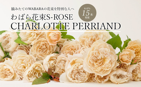 わばら花束S-ROSE CHARLOTTE PERRIAND Rose Farm KEIJI WABARA 記念日 | 滋賀県守山市 |  ふるさと納税サイト「ふるなび」